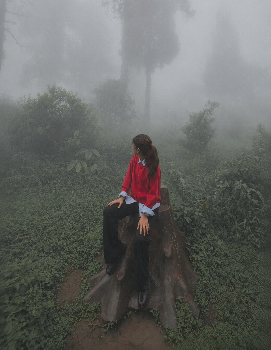 Natural Fog Effect for Rainforest Photos Prompt